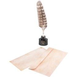 Blister Boligrafo Pluma + Cartas Harry Potter