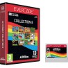 Evercade Activision Collection 3 (Retro)