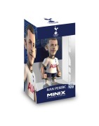 Tottenham Hotspur
