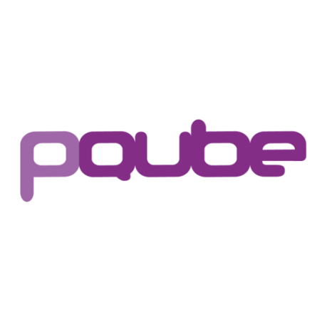PQ-PQUBE