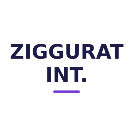 ZI-ZIGGURAT INT.